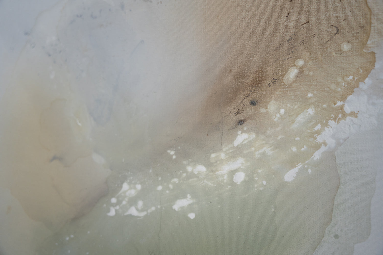 Pale Beach