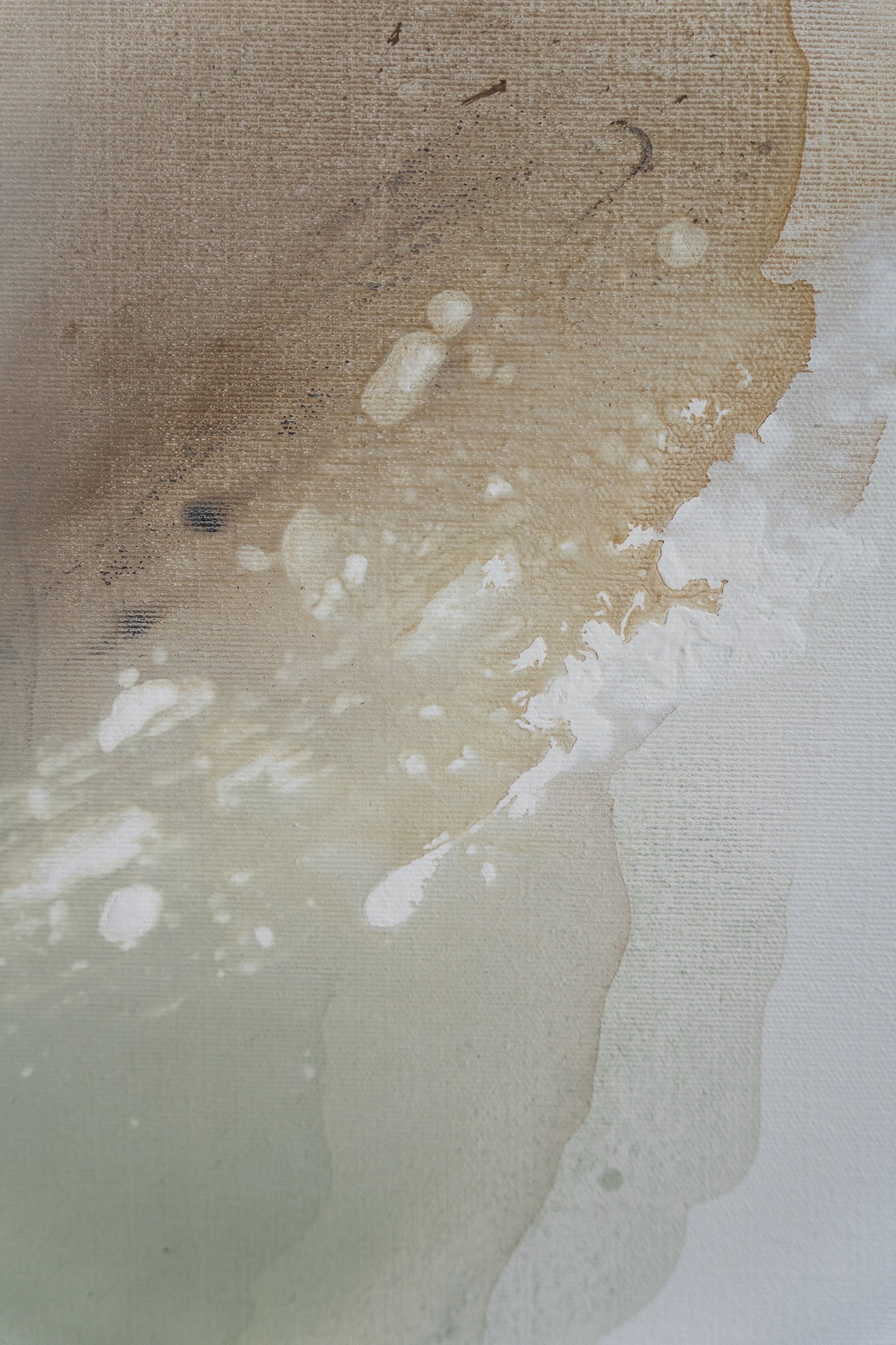 White Seashells | det.1