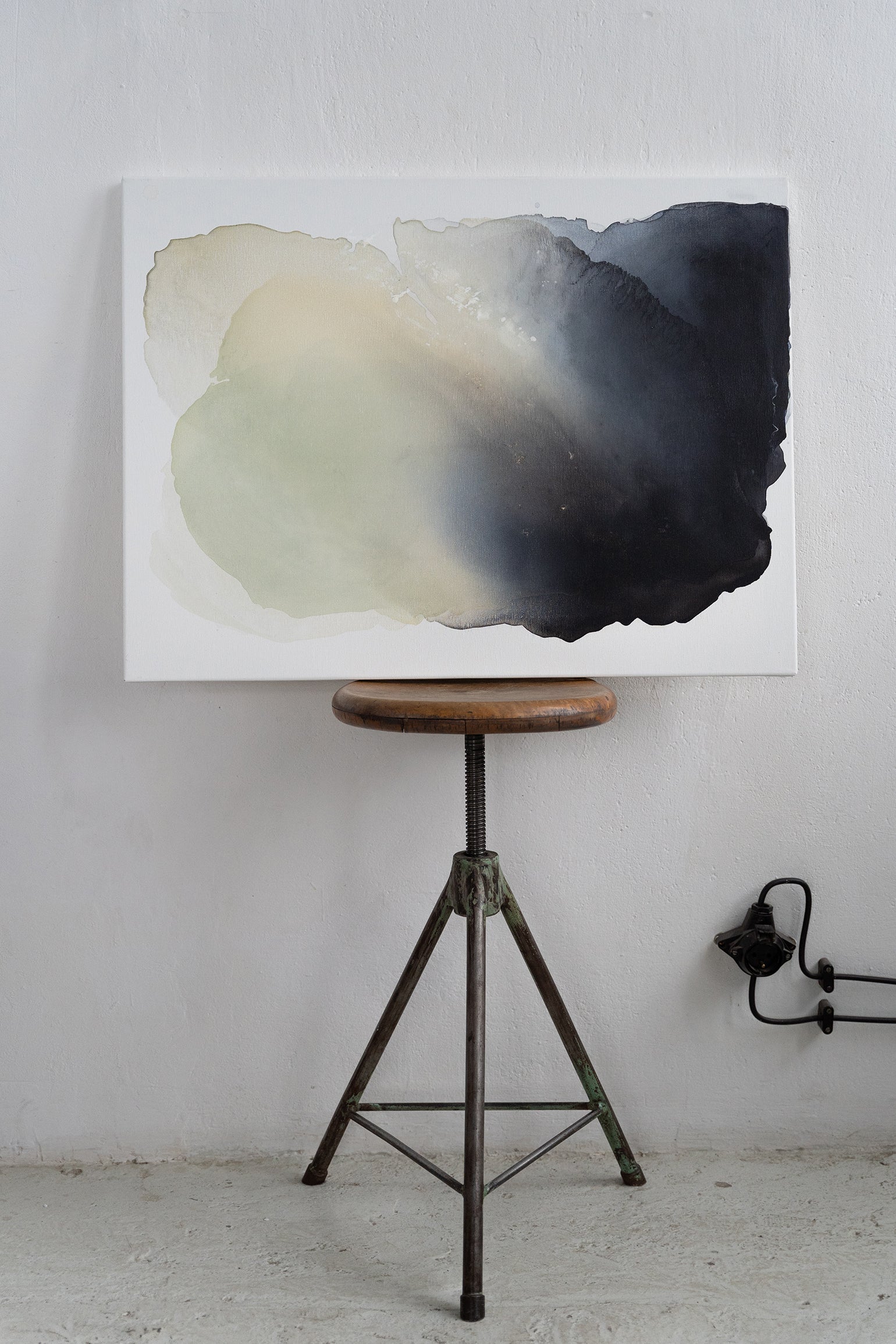 Seashell | 80x60cm